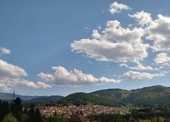 Allegri Padrini комплекс вели хилс Apartment